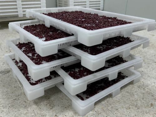 Latest company news about ما هي غطاء الحلوى؟ شرحت عملية التصنيع